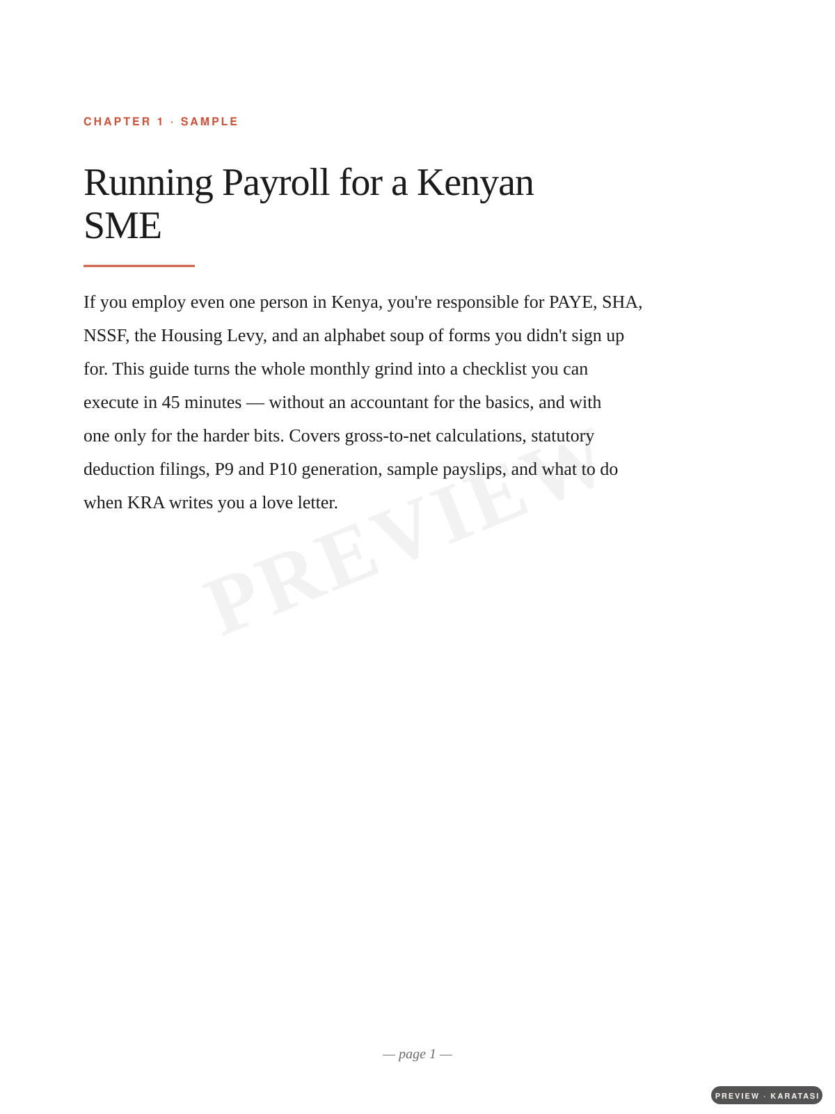 Running Payroll for a Kenyan SME preview page 3